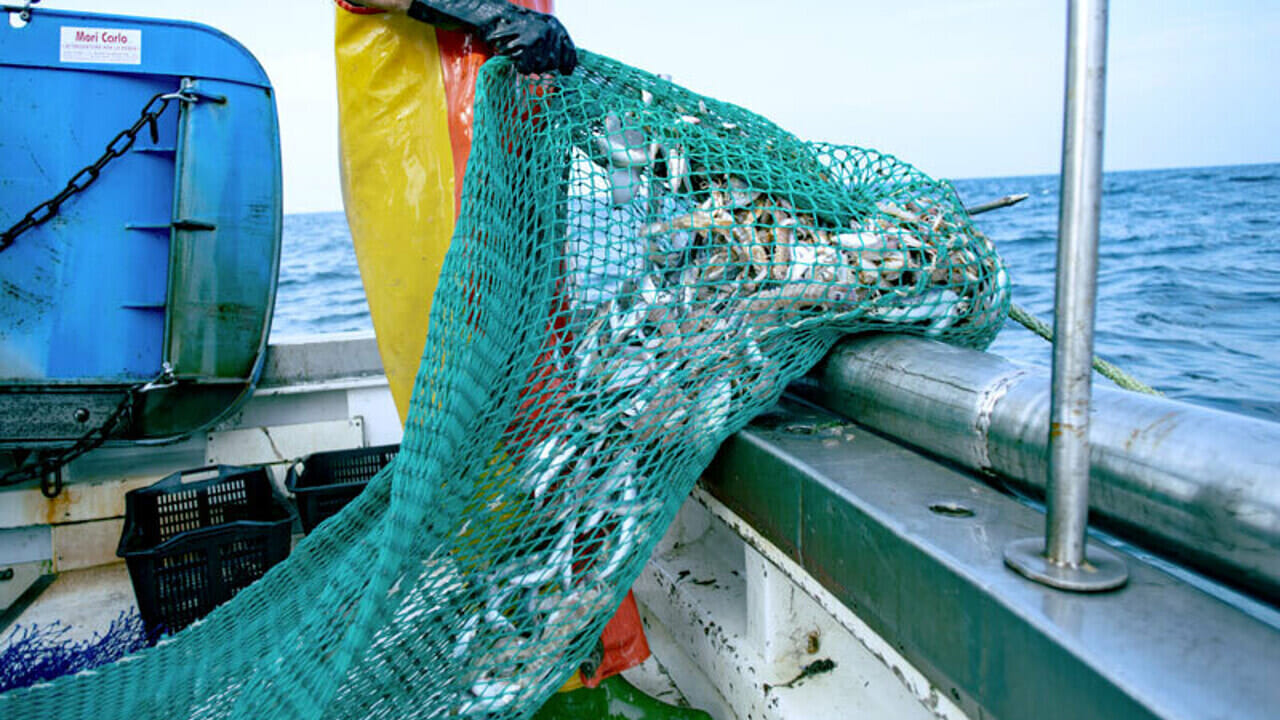 Crisi della pesca in Sicilia - Confial